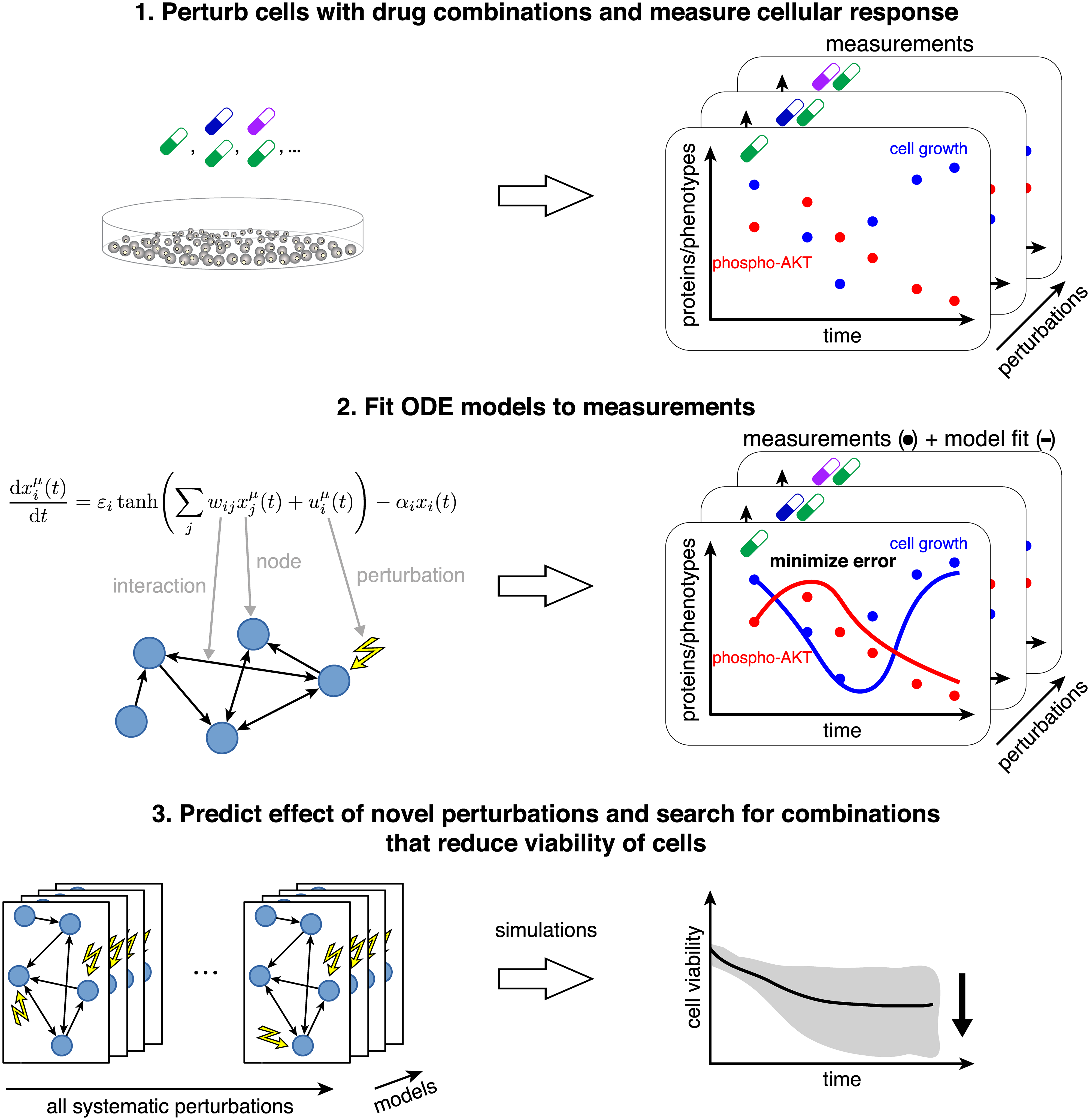 cancermodelling